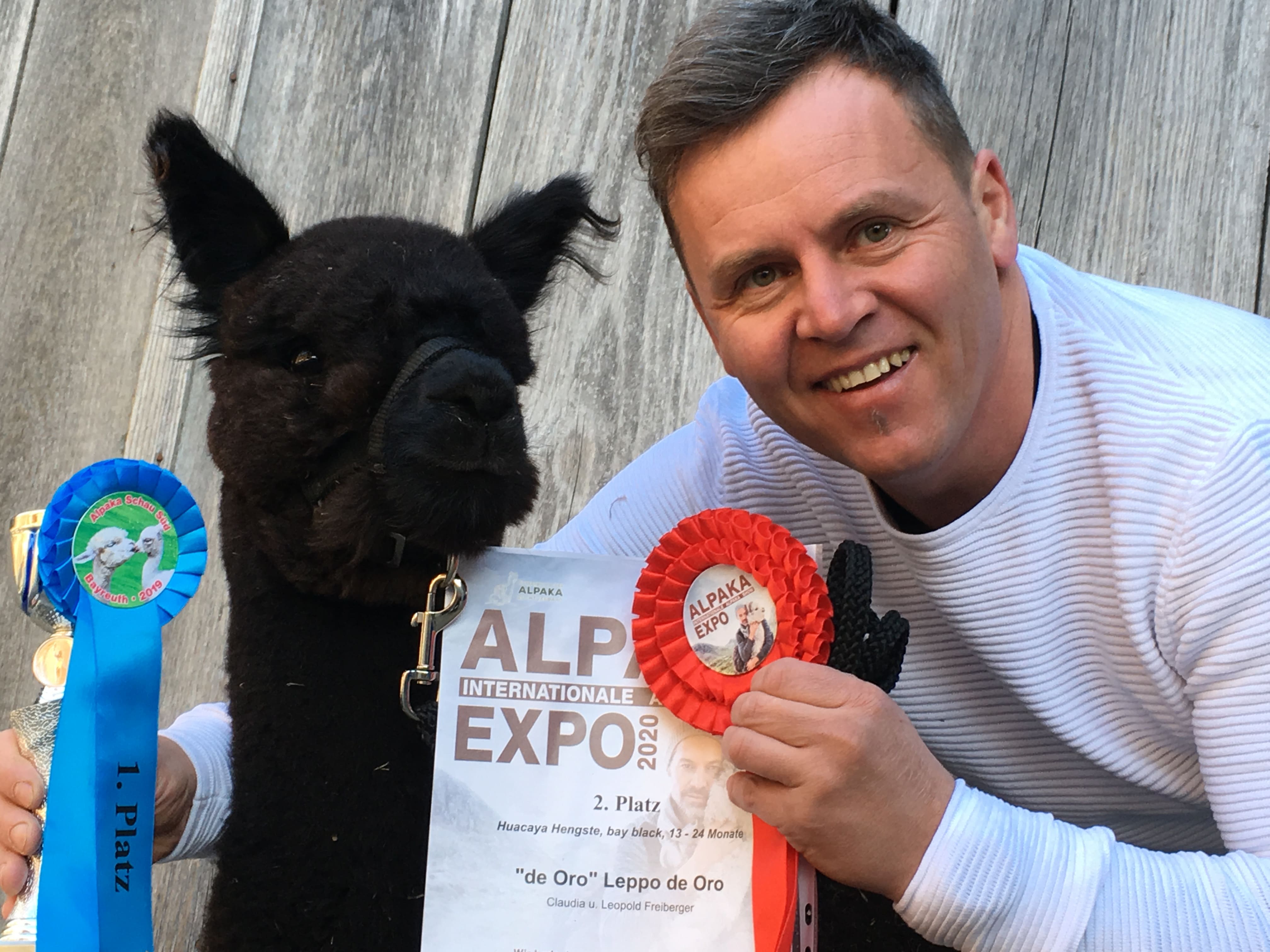 Freiberger mit seiner Auszeichnung der Alpakaexpo.