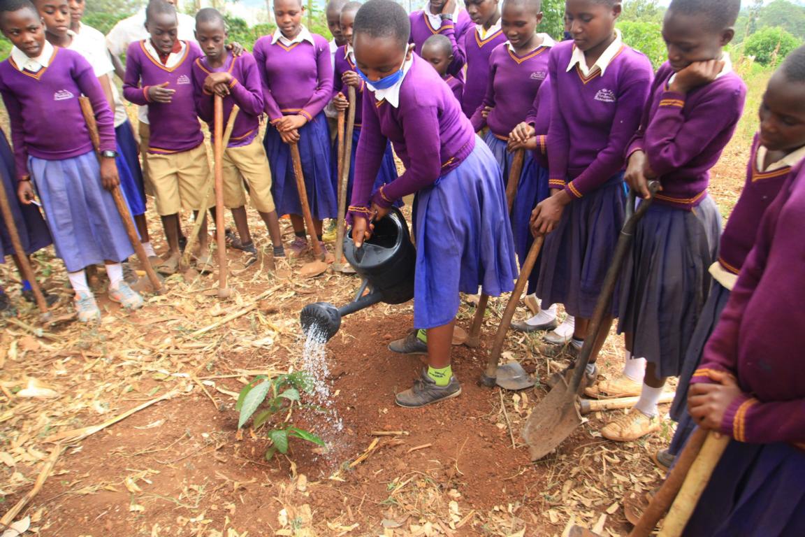 Bereits an Grundschulen lernen Kinder im Hauptprojekt 2021 von Bruder und Schwester in Not &uuml;ber Mischkulturen und nachhaltige Landwirtschaft. Foto: BSIN / CHEMA