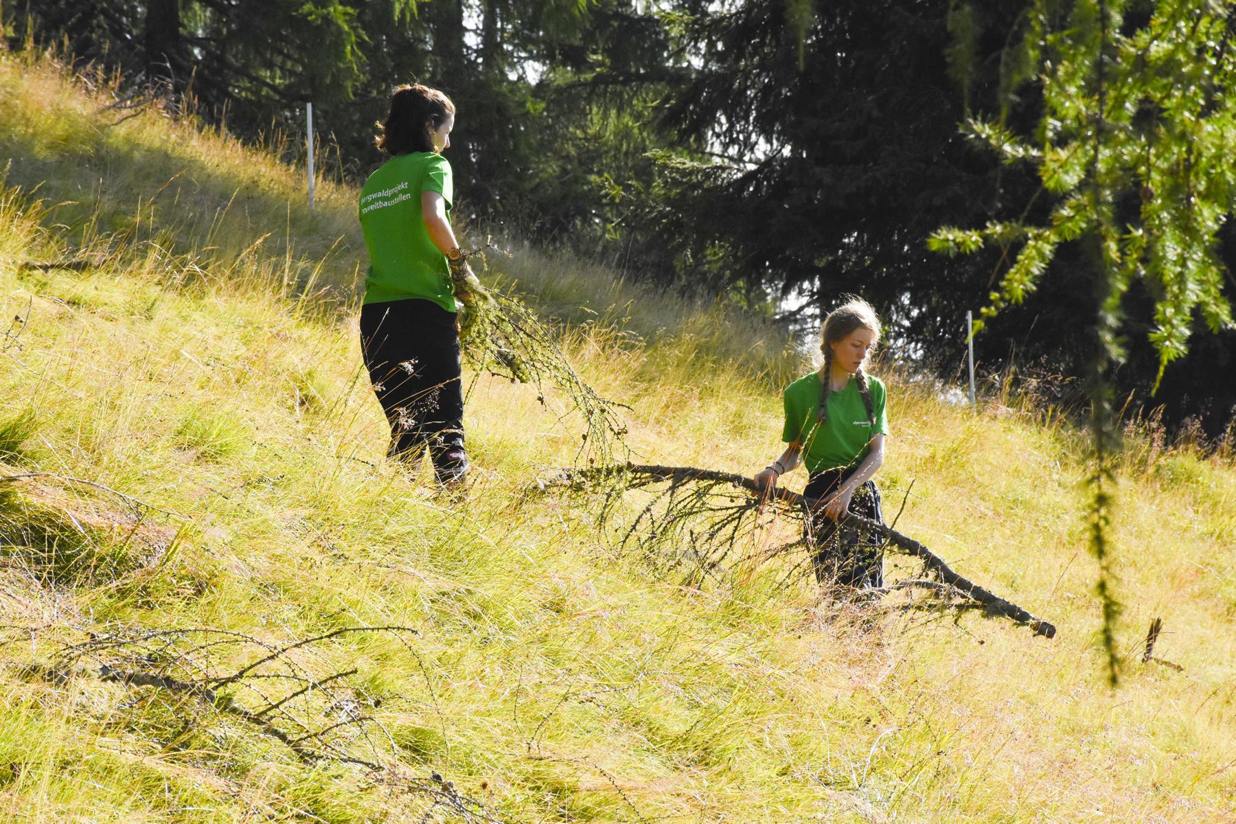 Freiwillige beseitigen Lerchen&auml;ste auf der Weide, Foto: &Ouml;AV