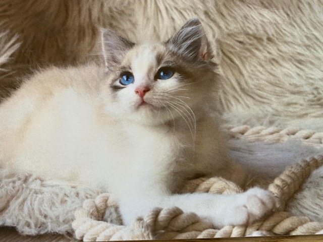 Beispiel Gru&szlig;karte