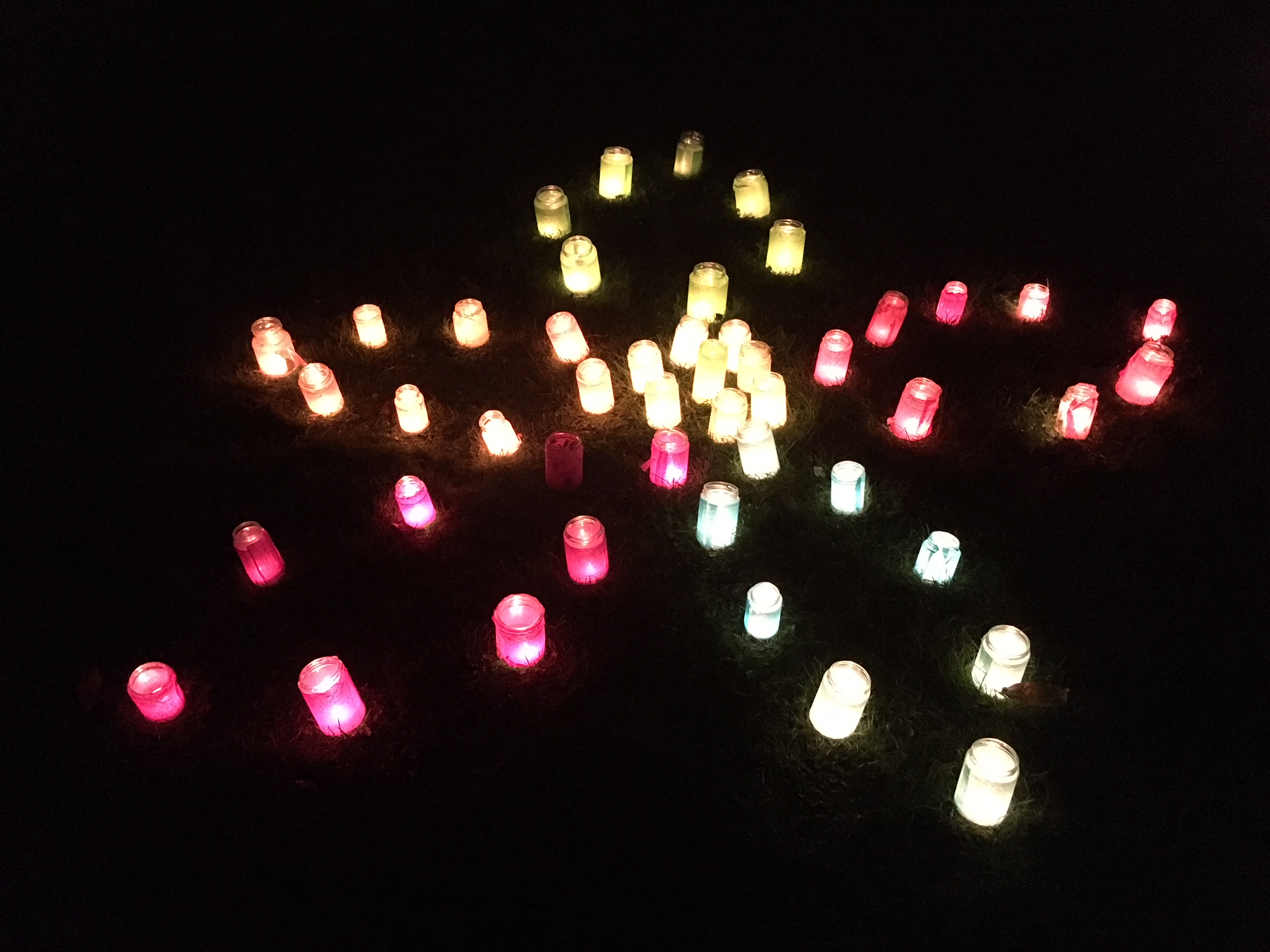 Lichterblume der Hoffnung, Foto: Stangl