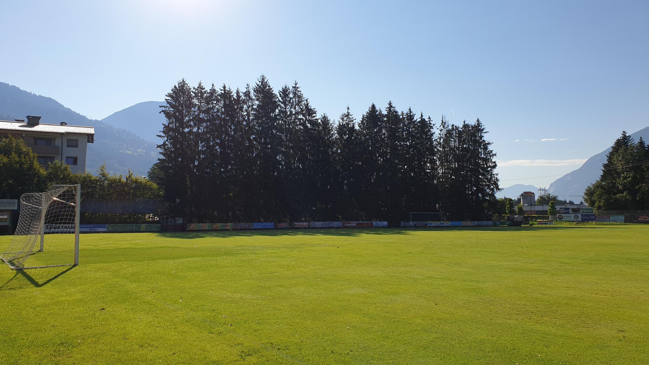 Die Fichten werden durch einen Ballfangzaun und einen Sichtschutz ersetzt.