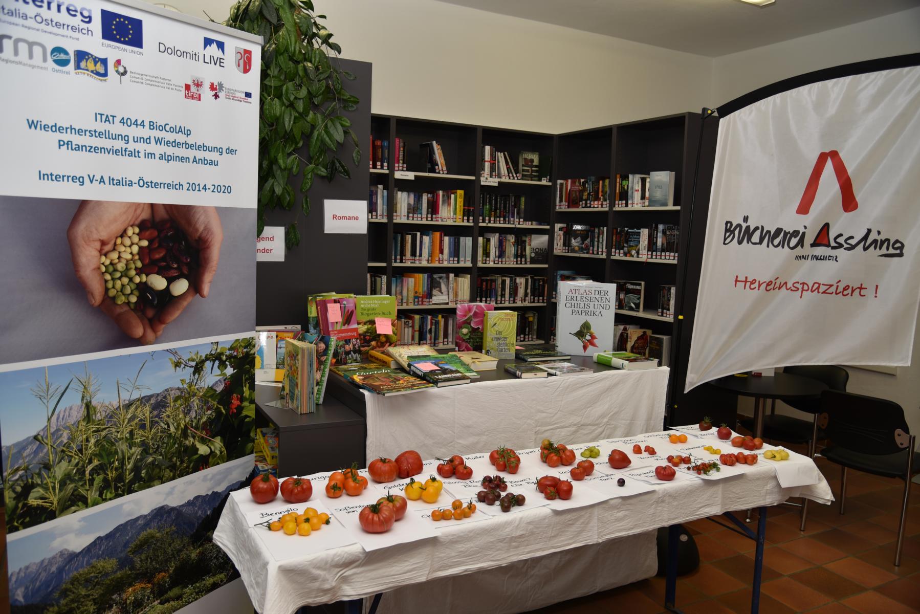 Foto: Christian Vogl