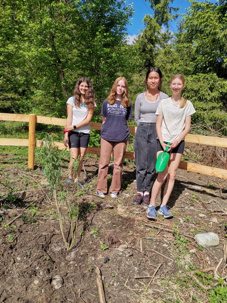 Sch&uuml;lerInnen machten die neuen T&uuml;mpel &bdquo;amphibienfit&ldquo;. Alle Fotos: Gymnasium Lienz