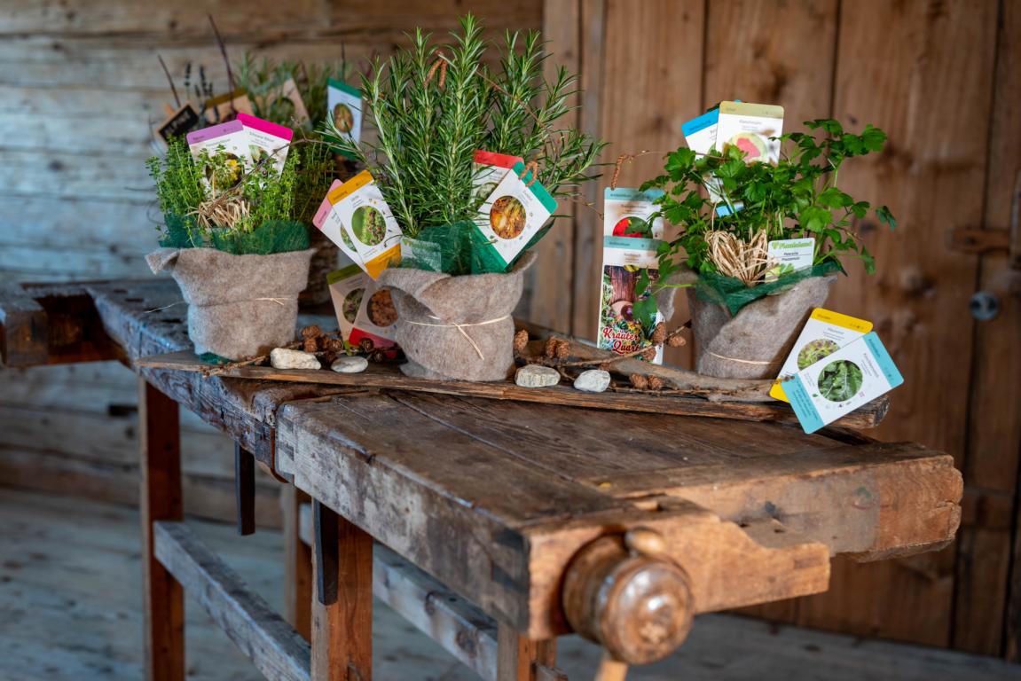 Kr&auml;uterquartett, Foto: PVT Mascher