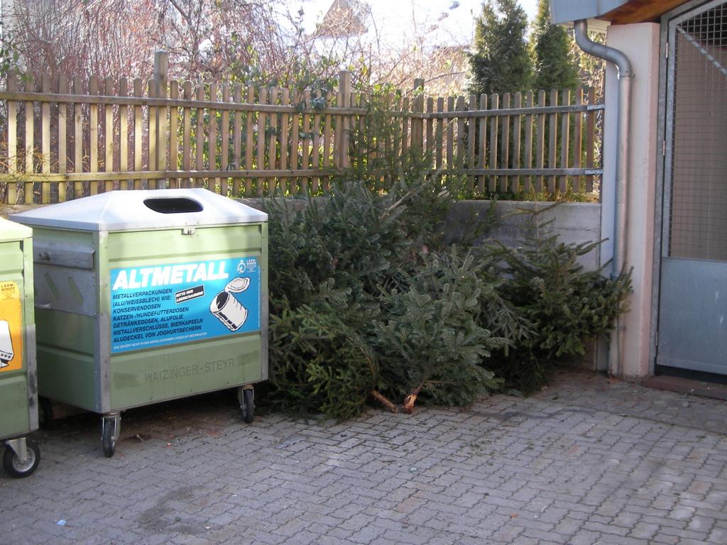 Sauber und ohne Weihnachtsschmuck sollen die Christb&auml;ume bei den M&uuml;llinseln deponiert werden, damit sie dann auch gut kompostiert werden k&ouml;nnen, Foto: Stadt Lienz