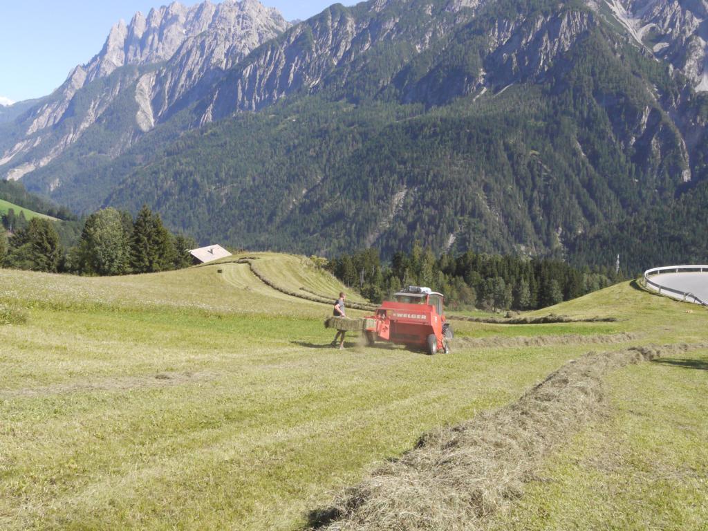 70.000 m&sup2; Gr&uuml;nland werden bewirtschaftet, Foto: Wildpark Assling