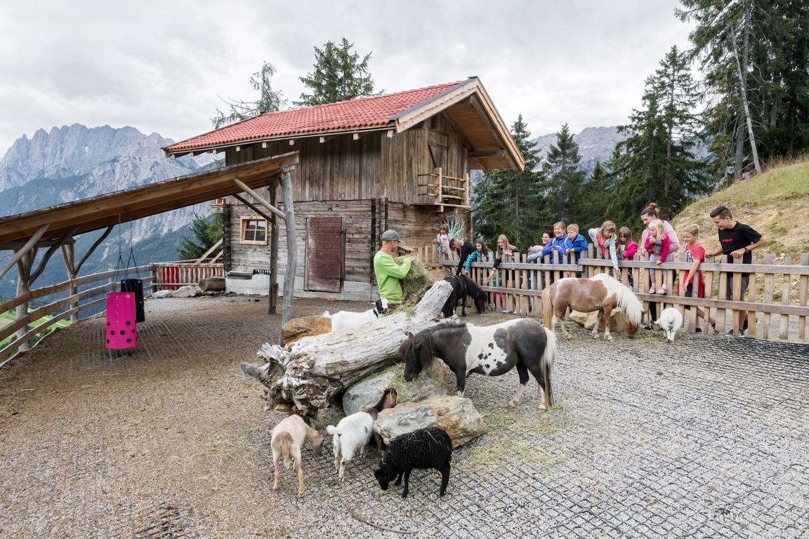 Der beliebte Streichelzoo, Foto: Wildpark Assling