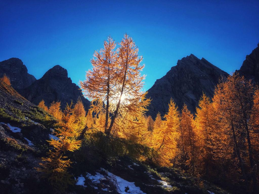 &acute;"SunSet" von Sarah Klaunzer-Sporer