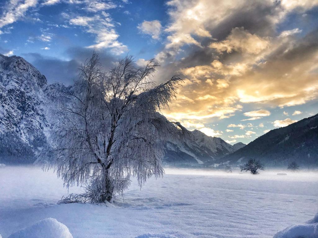 "WinterMood" von Sarah Klaunzer-Sporer