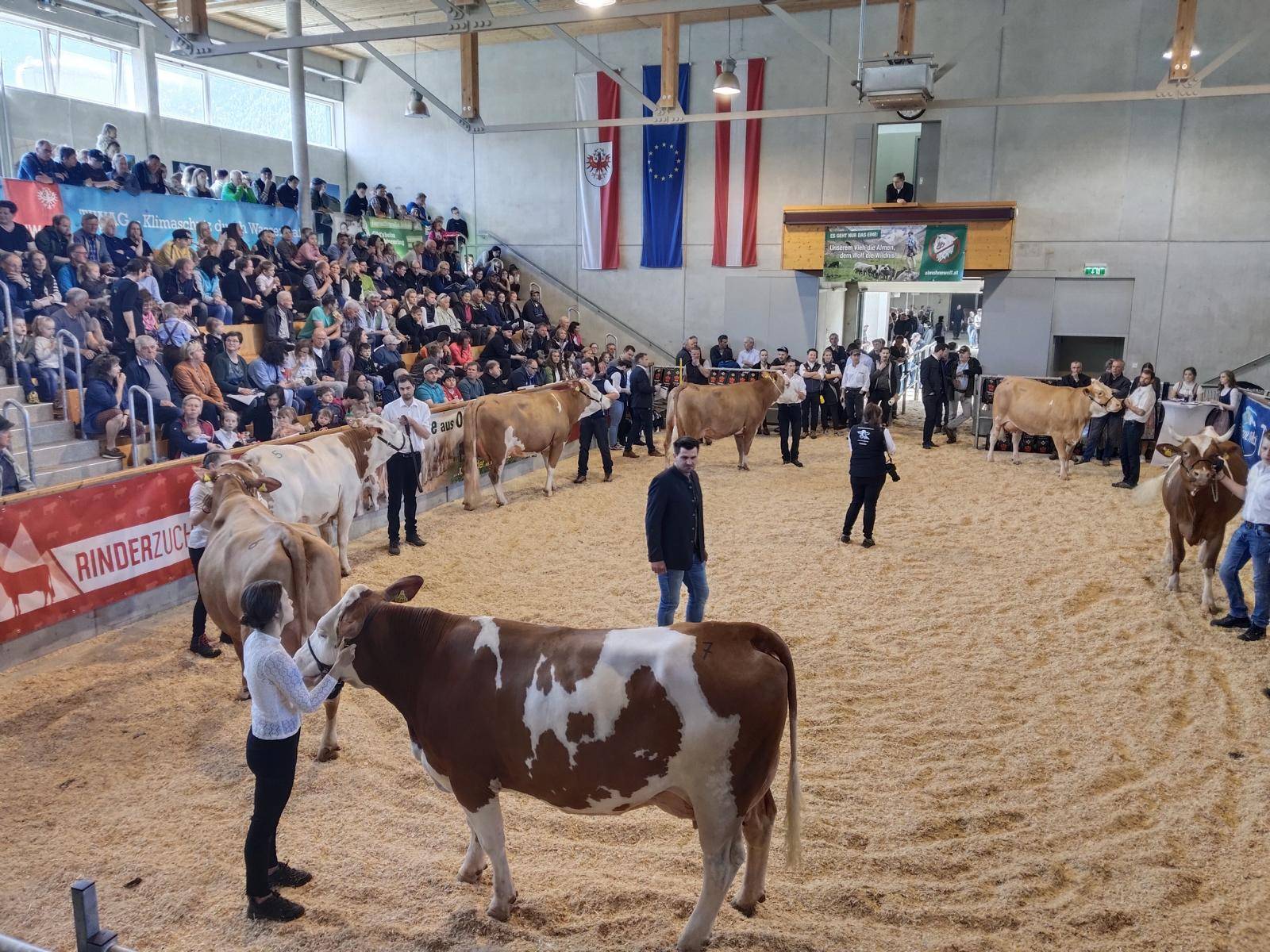 Volle Konzentration beim Vorf&uuml;hren. Foto: Pircher