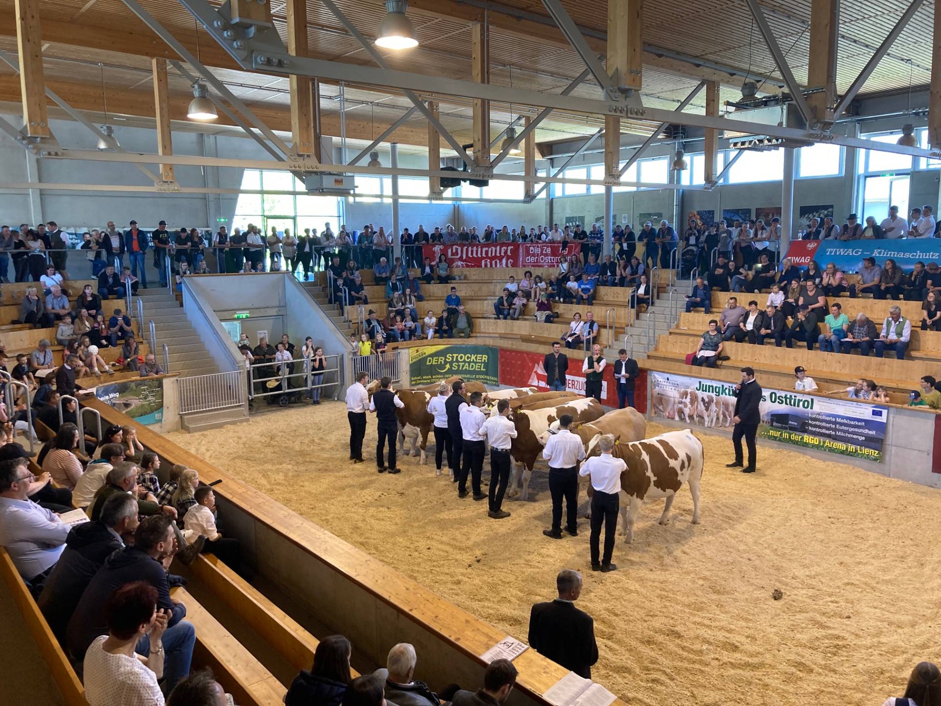 Spannende Finalentscheidungen... Foto: Stangl