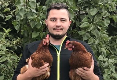 Warum die besten Eier aus Osttirol kommen