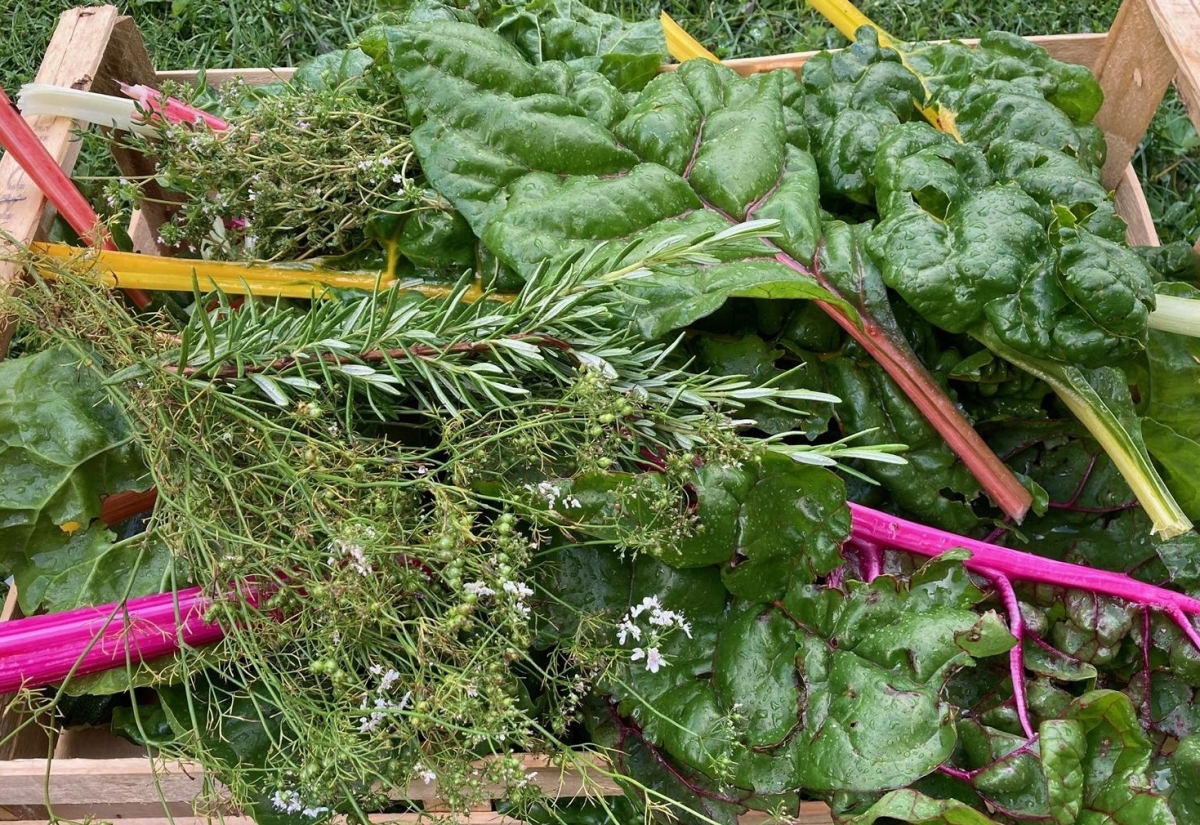 &bdquo;Resi-Lienz&ldquo; f&uuml;r ein nachhaltiges und resilientes Osttirol