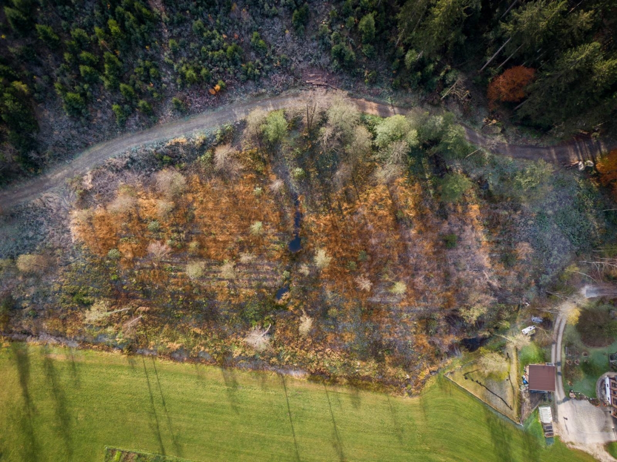 Grande amore: Start des EU-LIFE-Projekts &bdquo;AMooRe&ldquo;