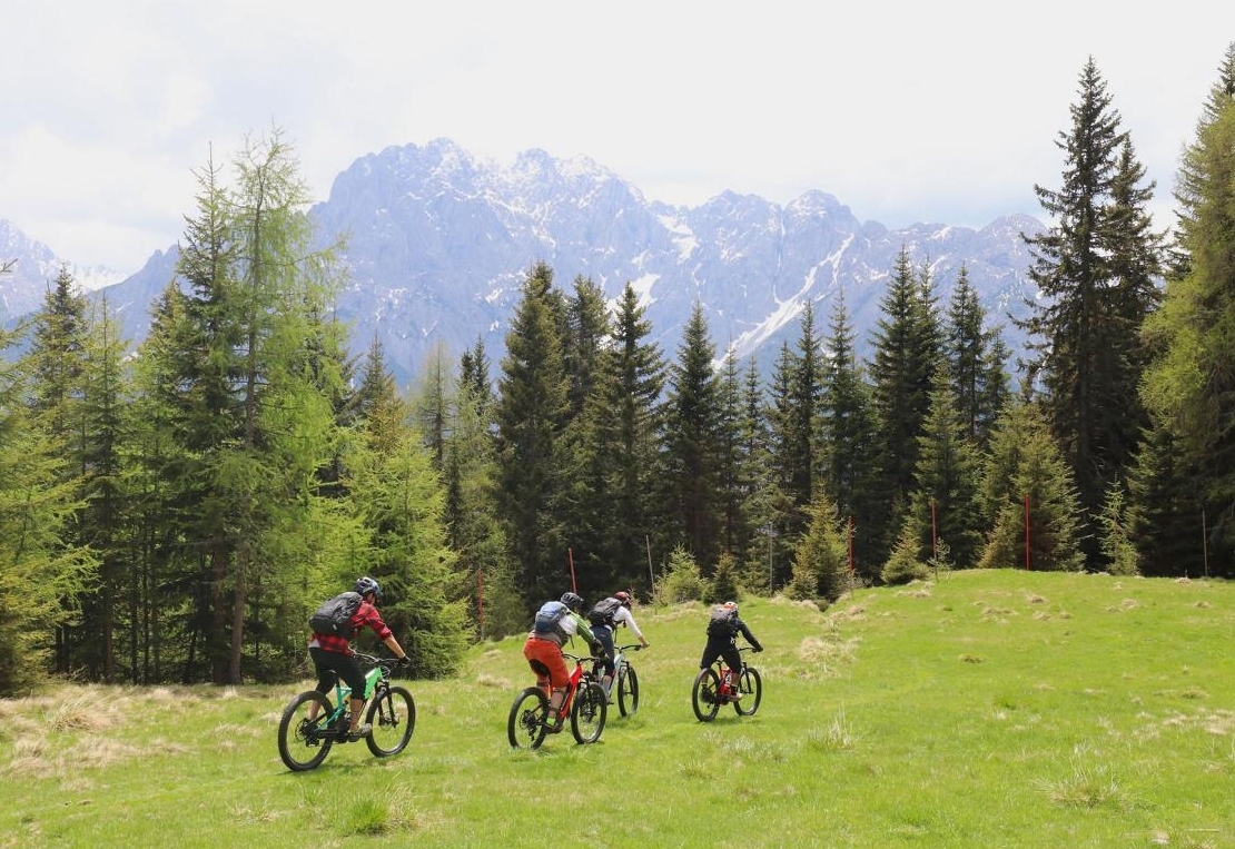 Durchwachsene Tourismus-Jahresbilanz