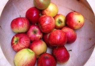 Interview mit Johannes Kuenz zum Tag des Apfels