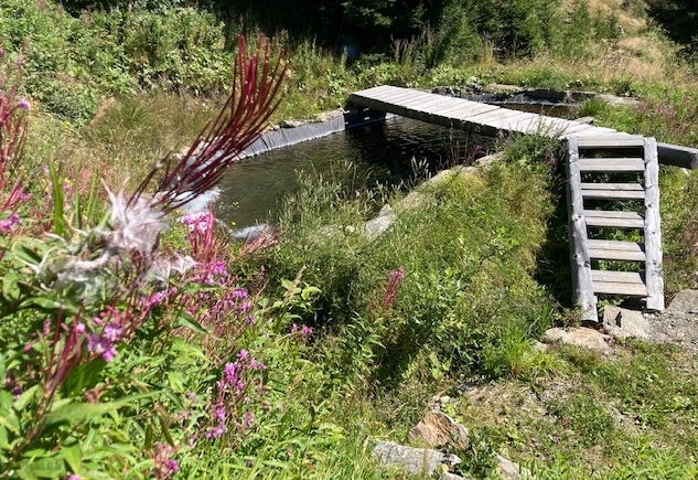 Glanzhof in Hopfgarten punktet mit Deferegger Bergsaibling 