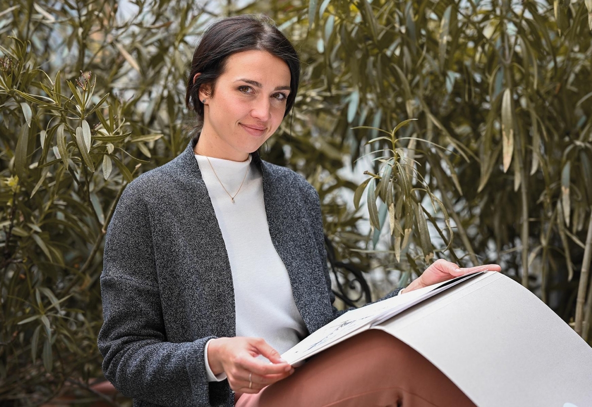 Projekt 25: Collis Hill verspricht besonderen Urlaub