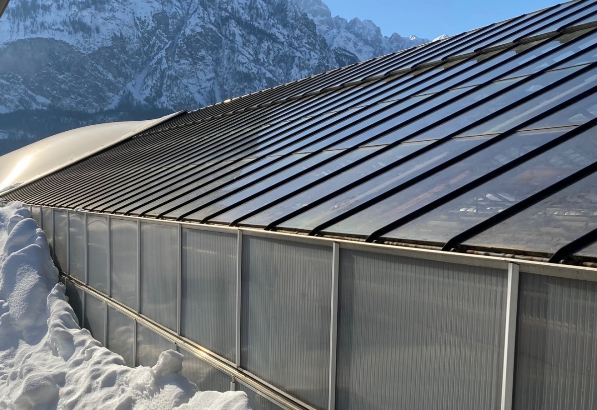 G&auml;rtnerei Seeber heizt Schnee auf Gew&auml;chsh&auml;usern einfach weg