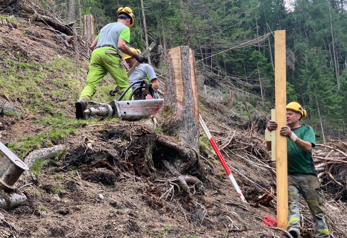 Aufr&auml;umen und Aufforsten in Osttirols W&auml;ldern