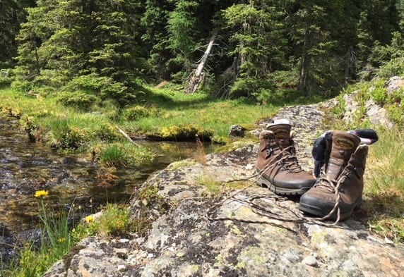 Heuer machen viele Urlaub daheim 