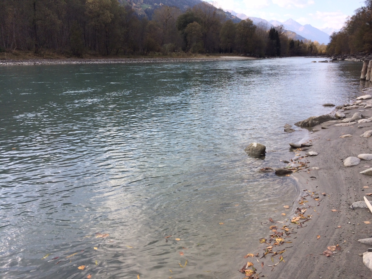 Natura2000-Gebiet Isel: Neuerliches EU-Mahnschreiben