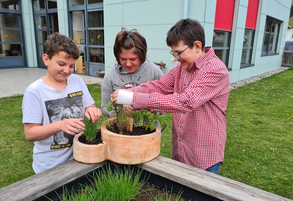 Sillianer Sch&uuml;lerInnen sammelten M&uuml;ll und Kr&auml;uterwissen