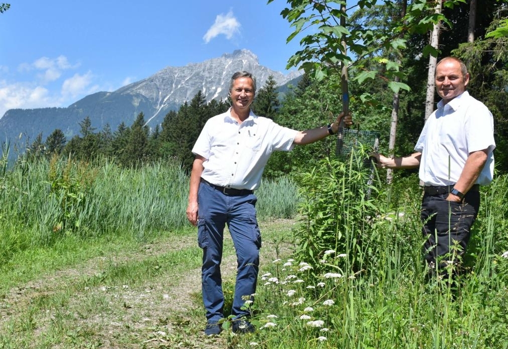 Tirol als Musterbeispiel f&uuml;r klimagerechte Waldwirtschaft