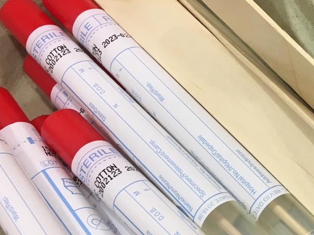 Kostenlose PCR-Tests f&uuml;r Nachtschw&auml;rmer