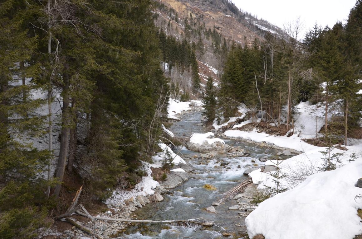 Neue Naturschutz-Stellungnahme zu Kraftwerksplan in Kals