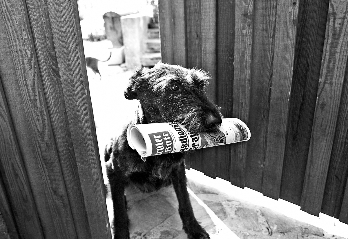 Aktueller Osttiroler Bote als E-Paper