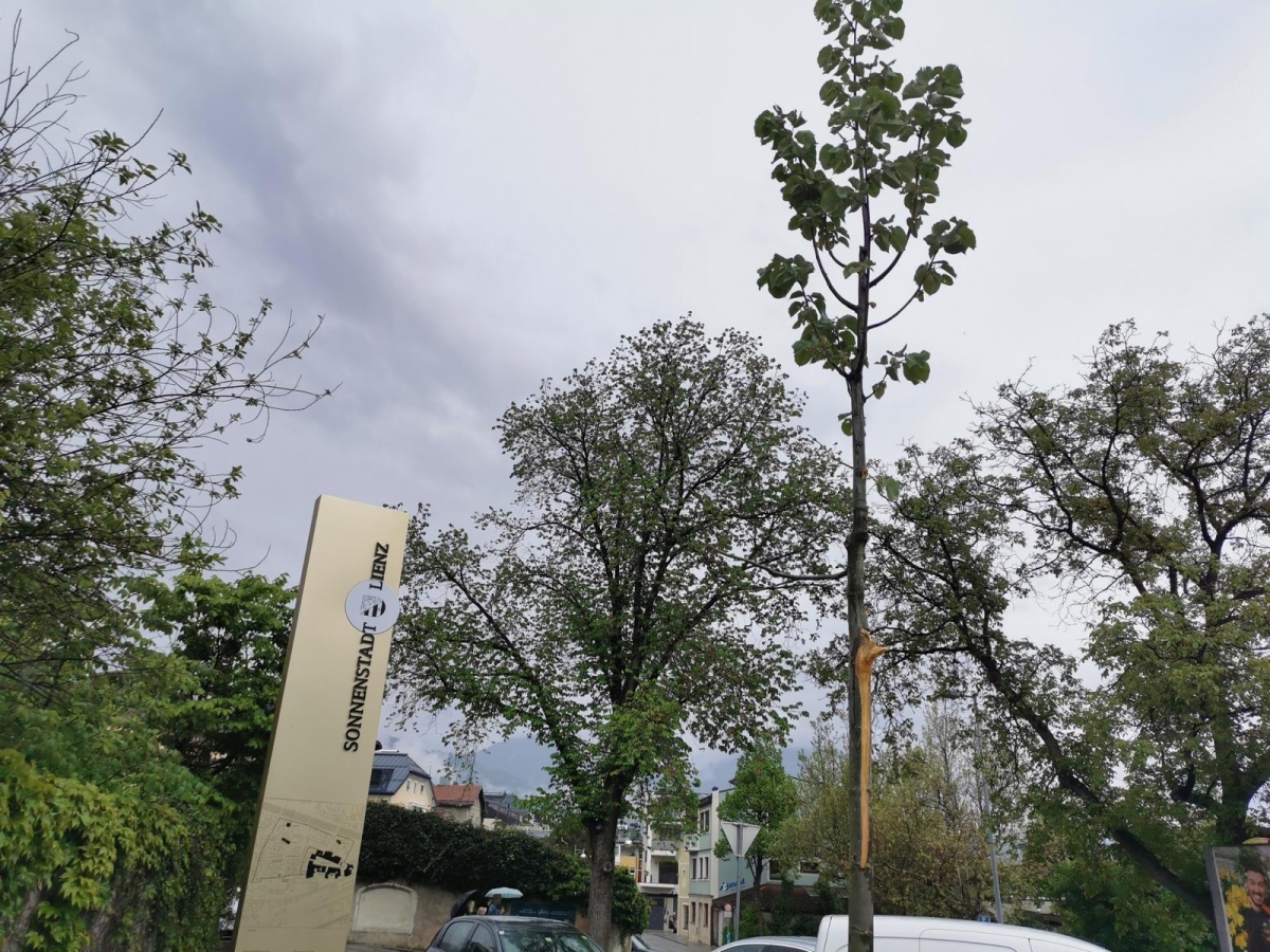 Sachbesch&auml;digung in Lienz: Zeugenaufruf