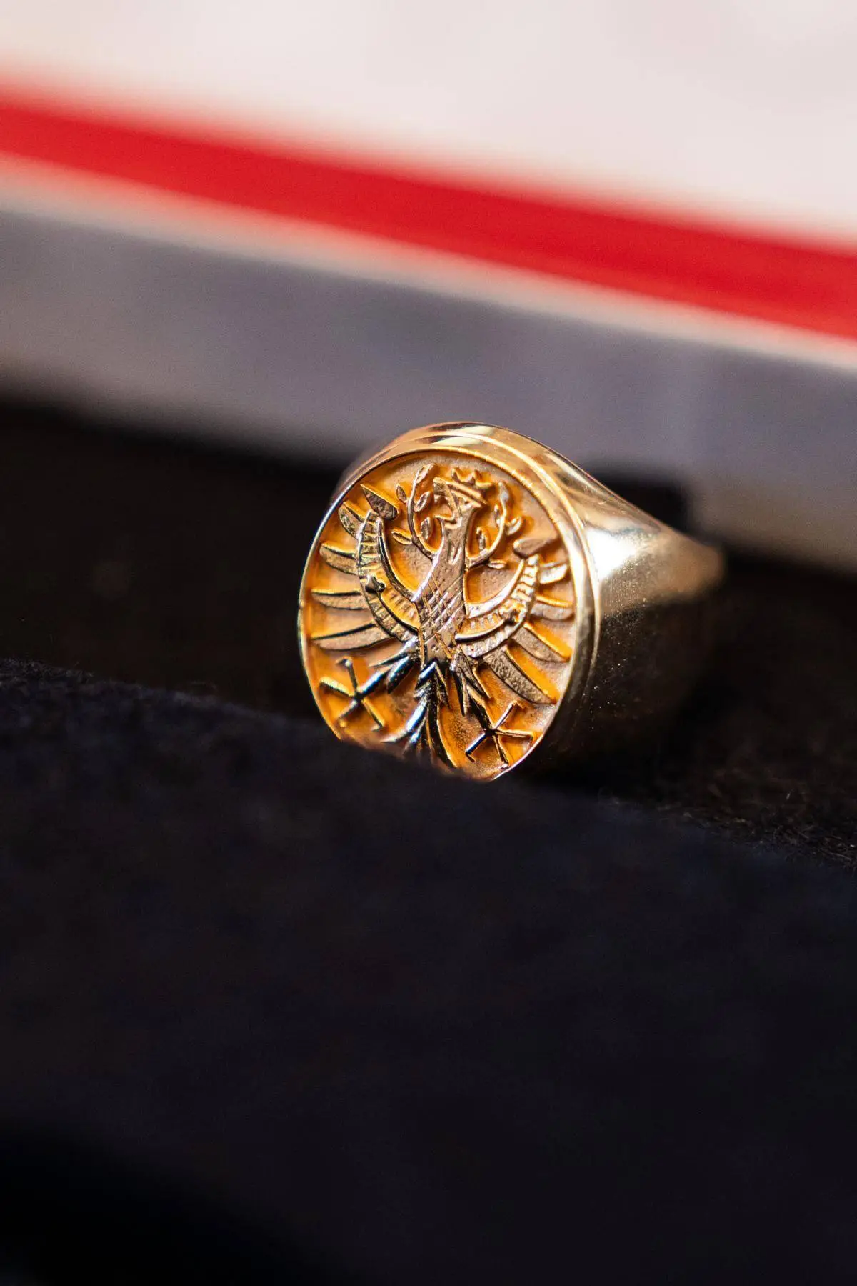 Der Ring des Landes Tirol ist die höchste Auszeichnung des Landes. Foto: Tiroler Landtag/Christanell