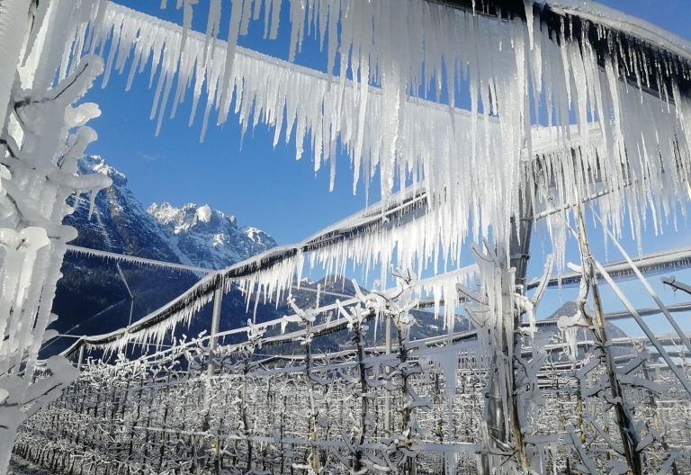 Feuer und Eis gegen Frost