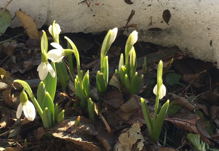Endlich Fr&uuml;hling! Heute ist Schluss mit Winter