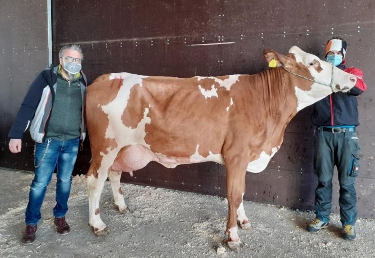 Guter Start ins neue Versteigerungsjahr