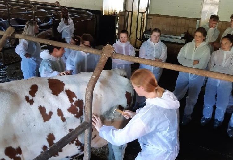 Land schafft Praktikums-Pl&auml;tze f&uuml;r angehende Tier&auml;rztInnen