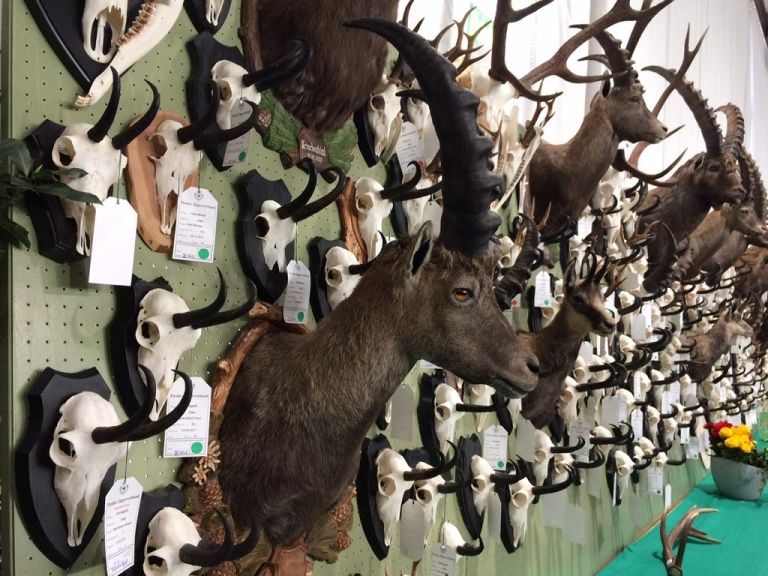 Bezirksj&auml;gertag und Troph&auml;enschau sind abgesagt