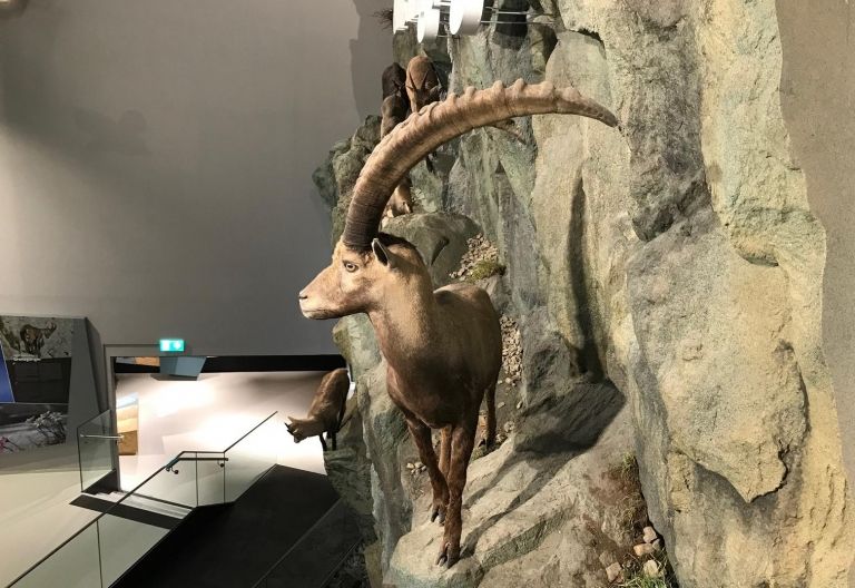 Prachtbau f&uuml;r den K&ouml;nig der Alpen