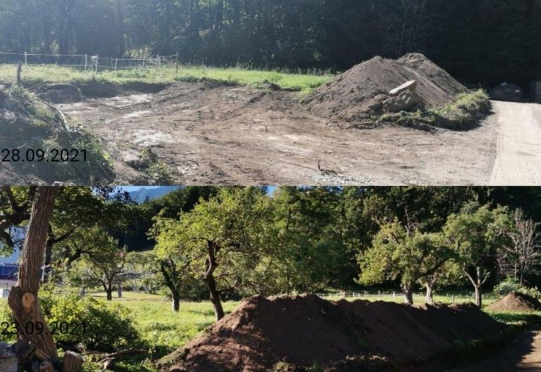 Kahlschlag statt Schlossmoaridyll- Mahnwache gegen Parkplatz