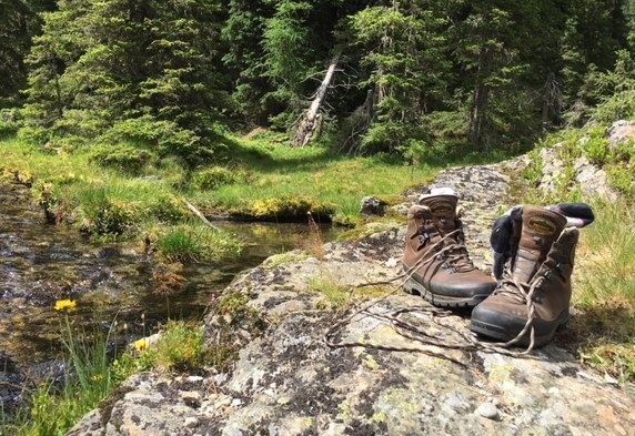 Heuer machen viele Urlaub daheim 