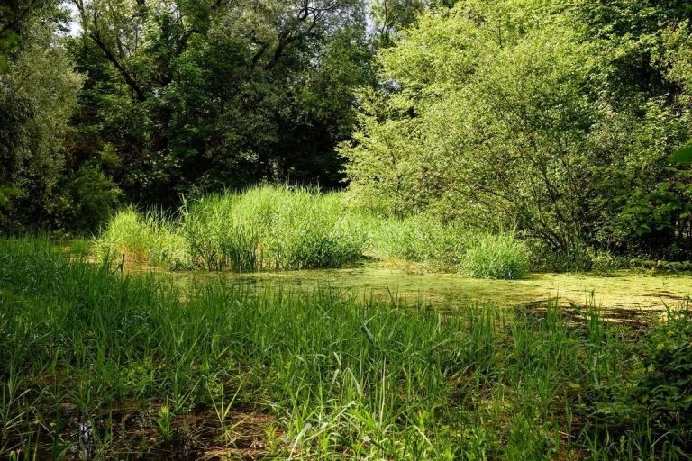 Erfolgreiche Zwischenbilanz des Naturschutzpakets