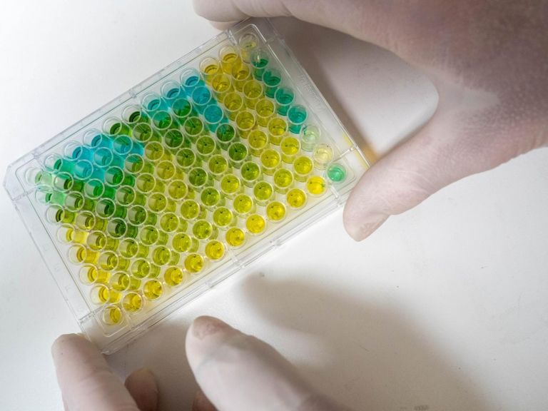 Delta-Variante breitet sich auch in Osttirol aus