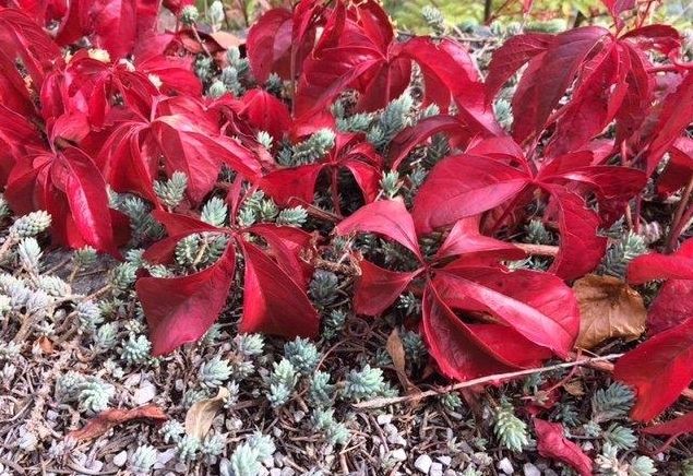 Begleitung in der letzten Lebensphase