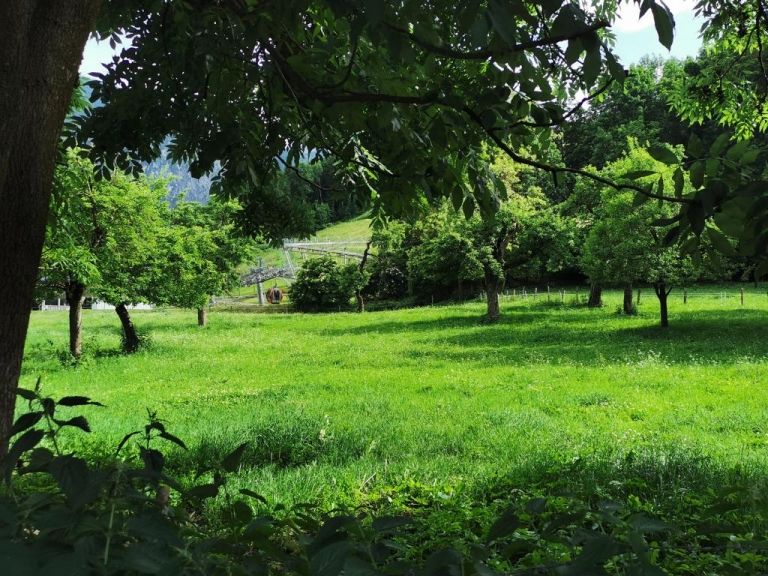 Obfrau des VEO tritt zur&uuml;ck 