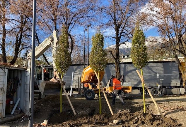 Rund ums Mobilit&auml;tszentrum wachsen 50 neue B&auml;ume