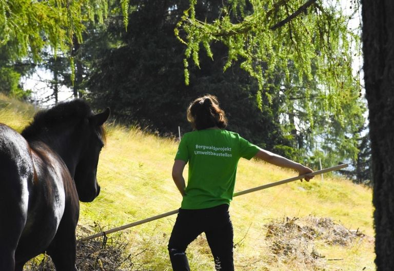 Umweltbaustelle: Freiwillige im Einsatz auf der Lugger Alm