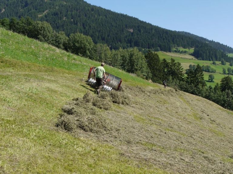 Heuernte f&uuml;r die Tiere im Wildpark Assling