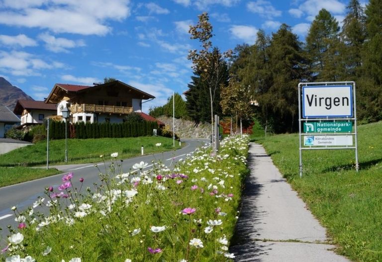 Bienenfreundliche Blumen im &ouml;ffentlichen Raum